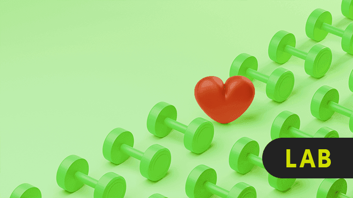 Anatomy and Physiology II Lab