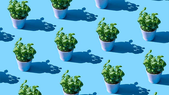 environmental-science-3